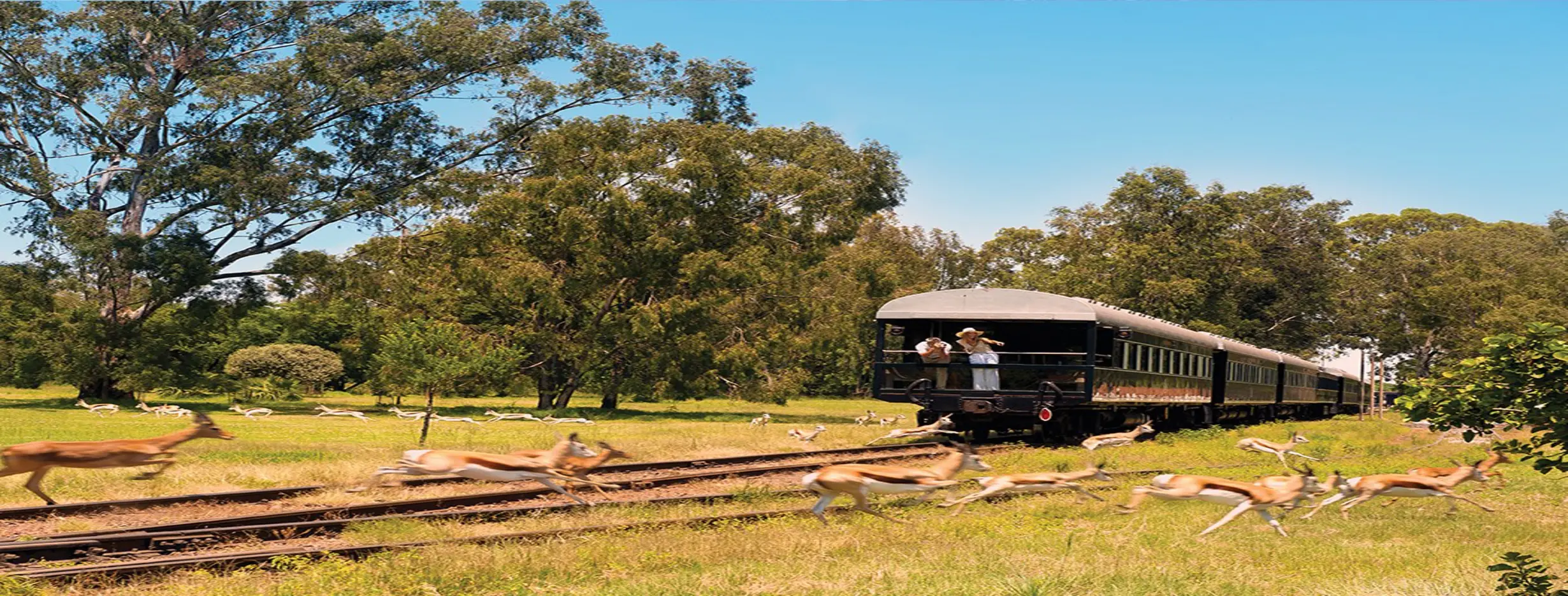 Image for Benguela Railway Journey
